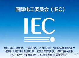 中外標(biāo)準咨詢服務(wù)